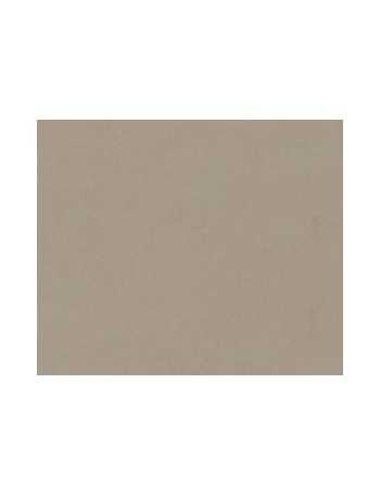 PINTURA TIZA PIEDRA.