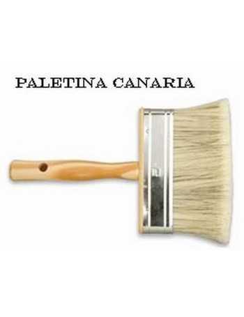 PALETINA CANARIA Nº 6.
