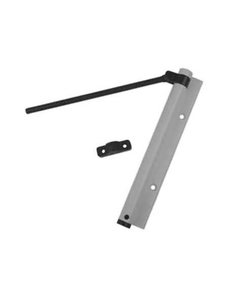 MUELLE CIERRAPUERTAS LATERAL PLATA