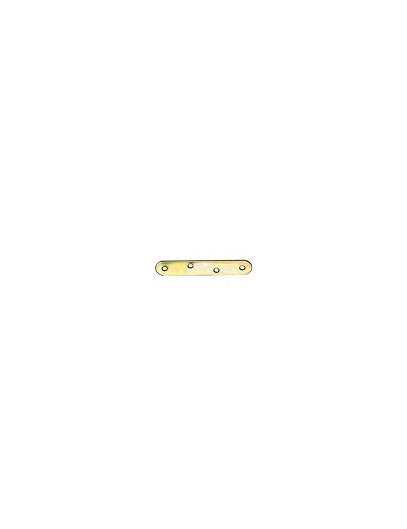 PLACA RECTA UNION BRC.100X20