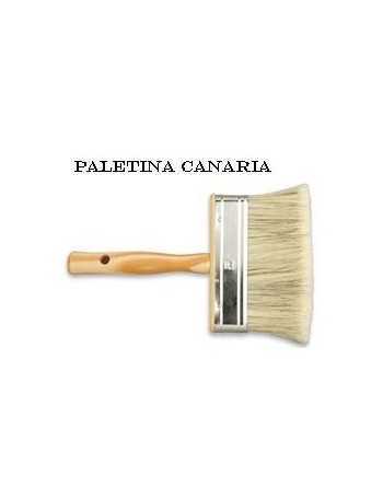 PALETINA CANARIA N? 4